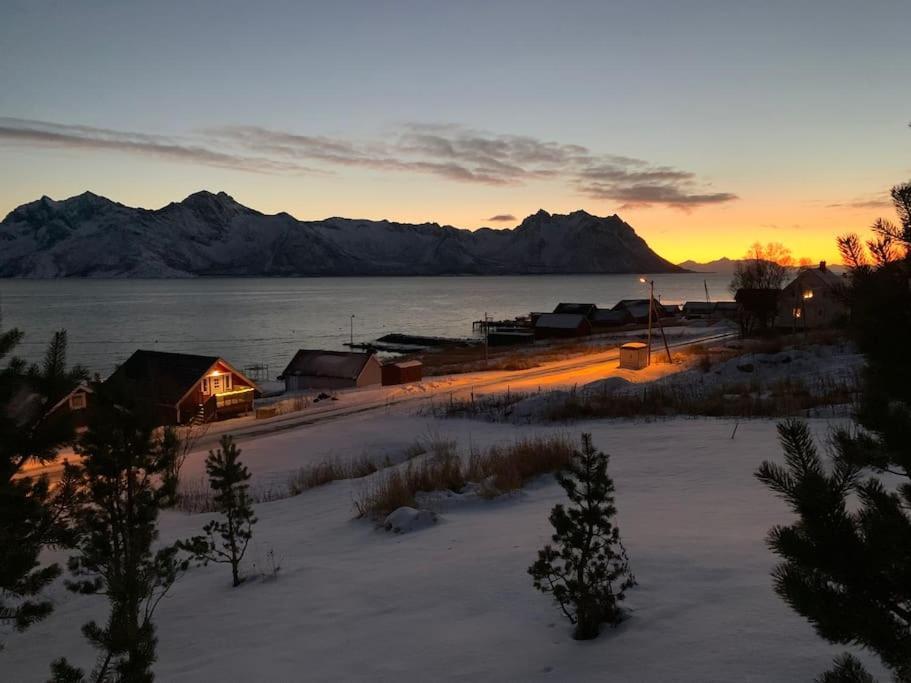 Leilighet I Rorbu Pa Kaldfarnes - Yttersia Senja Exterior foto